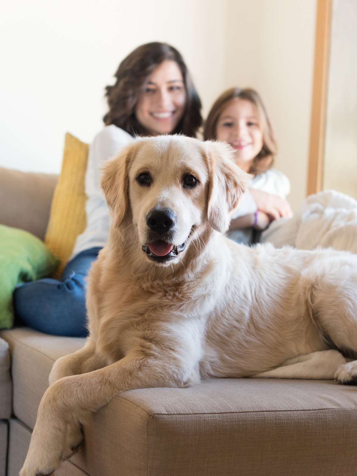 Parent and child relaxing on the couch with their dog Parent and child relaxing on the couch with their dog